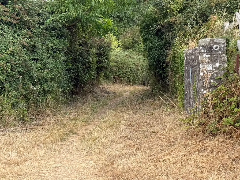The South Gate